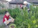 202507 brigada